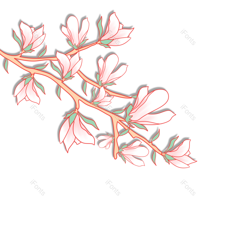 花卉图片,春天元素,植物PNG,免抠素材